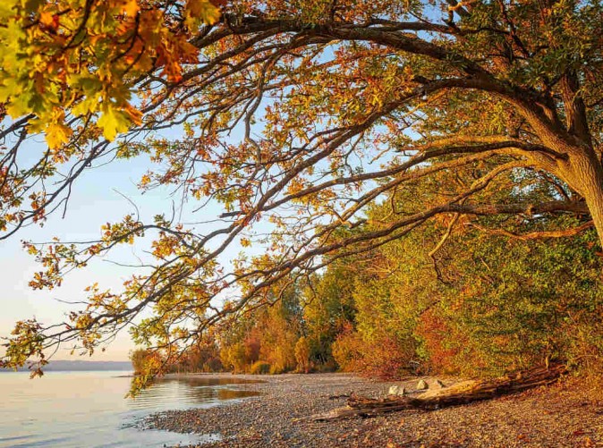 020_SchoeneAussichtenTouristik_pixabay_Starnberger_See_lake-3745228_1280