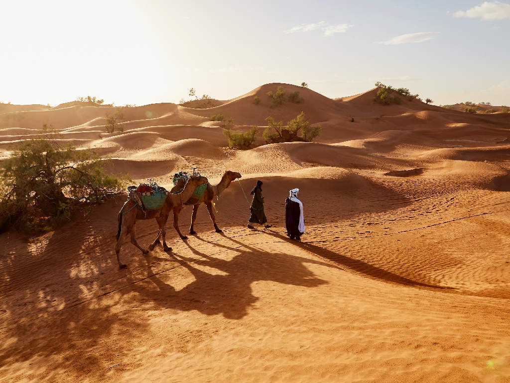 Wahiba Sands Oman Fabien Bazanegue Schoene Aussichten Touristik